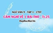 Soạn bài Viết đoạn văn ghi lại cảm nghĩ về một bài thơ tám chữ trang 25 lớp 9 tập 1 Chân trời sáng tạo